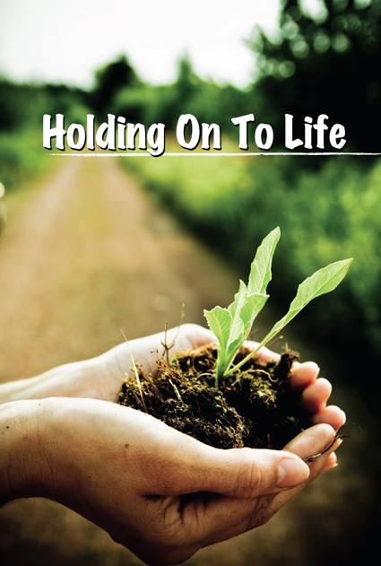 Holding On To LIfe Tool Kit - English